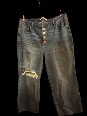 Women’s size 18 Celebrity Pink  Button-Fly Distressed Straight Blue Jeans NWOT